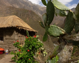 puno-cusco-arequipa-uros-taquile-amantani-sun-island-bolivia10